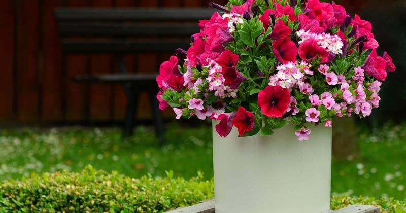 Comment fabriquer une jardinière en palette pour son balcon sans se ruiner