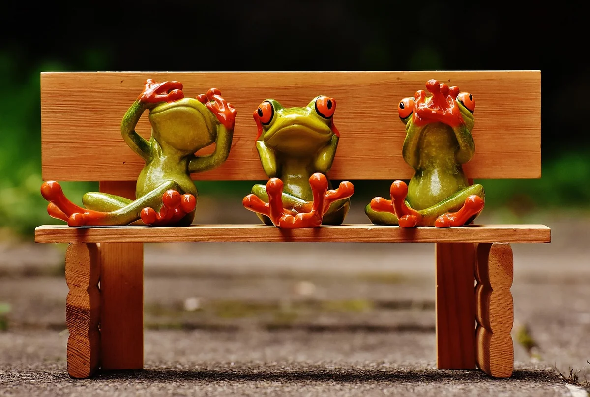 Construire une étagère murale DIY en bois : guide étape par étape 2026