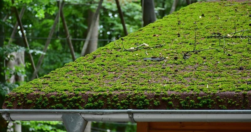 Comment entretenir une toiture en tuiles après l'hiver : le guide