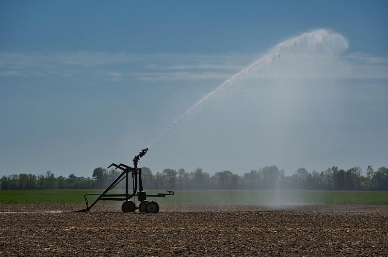 Installer un système d'irrigation DIY pour votre jardin en 2026 : guide complet